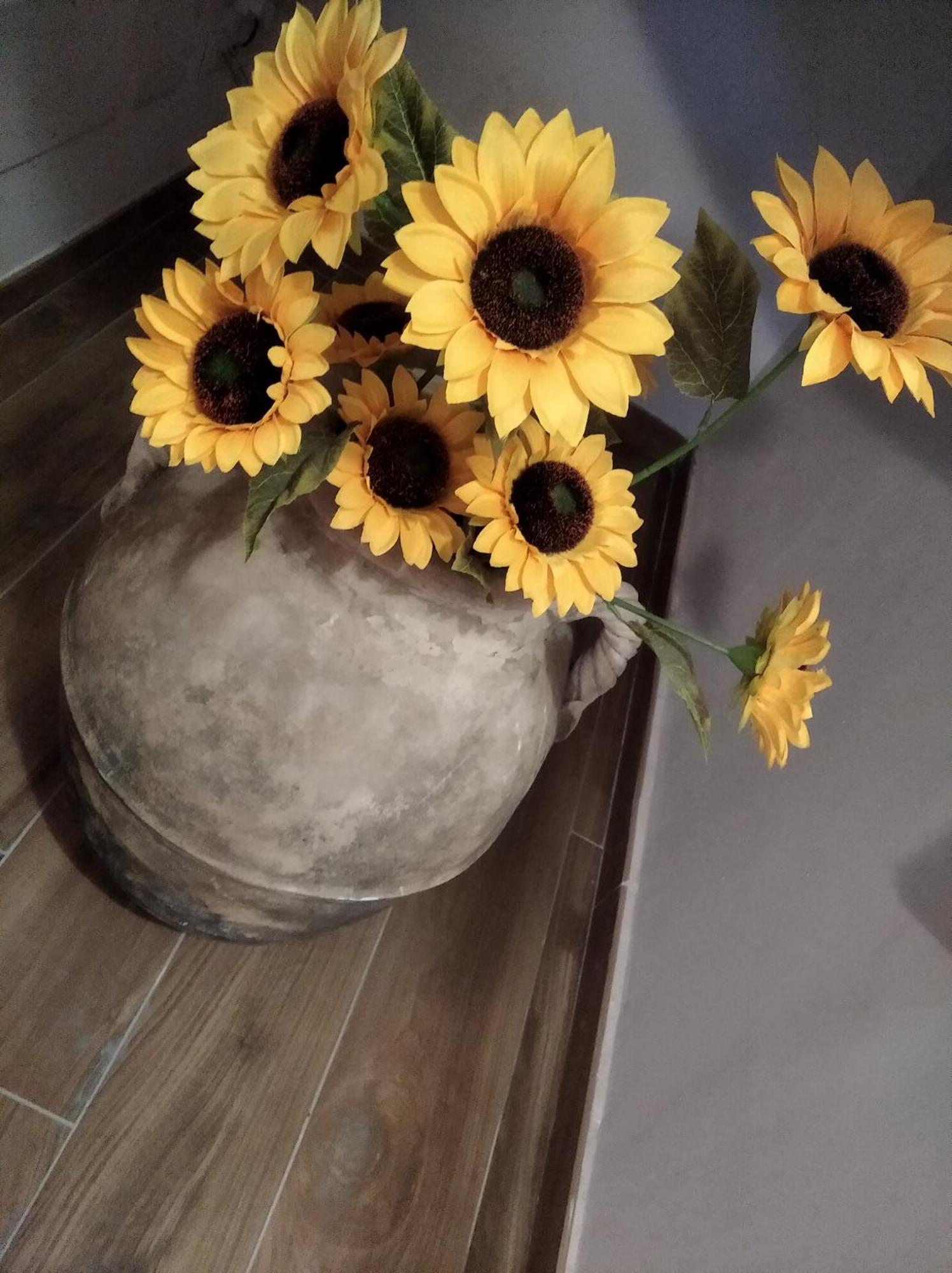 Agriturismo B&B Il Girasole Roccadaspide Bagian luar foto
